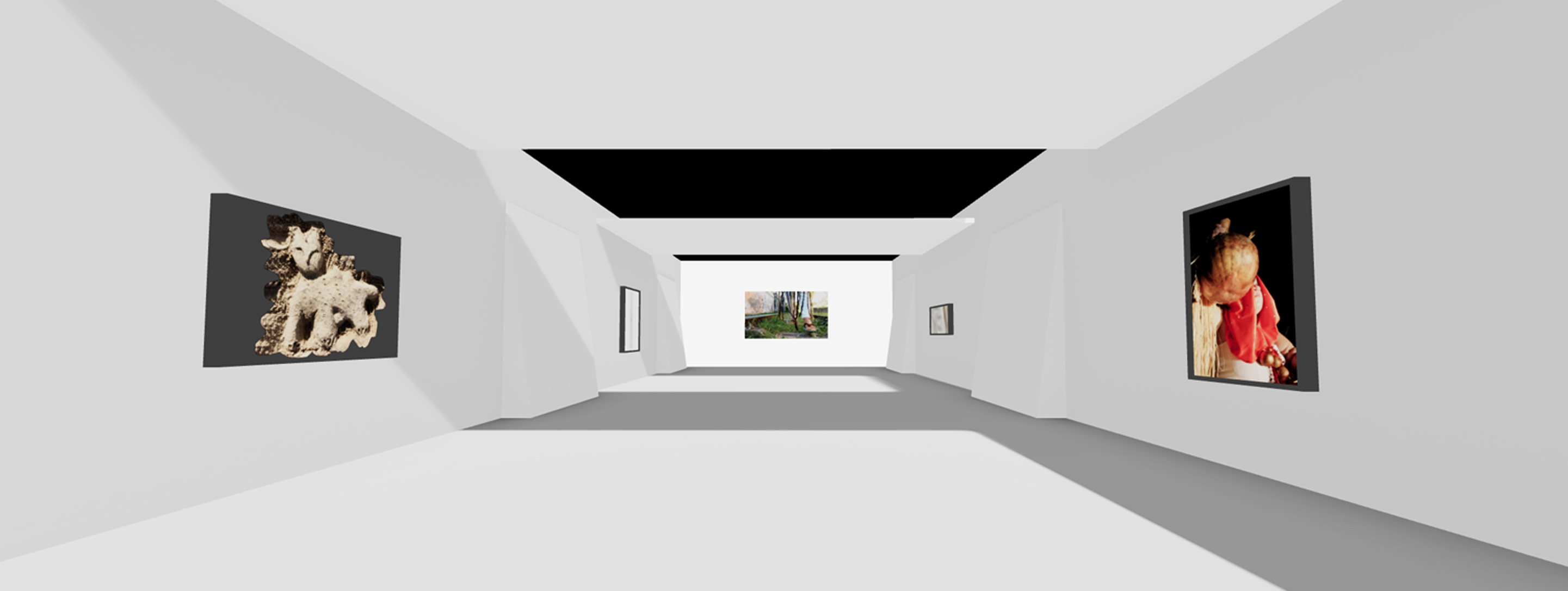 Vista de galeria virtual 3XR
